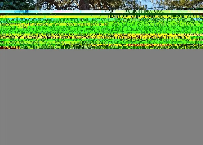 En Rez-de-chaussee - Terrasse & Piscine Chauffee Lägenhet